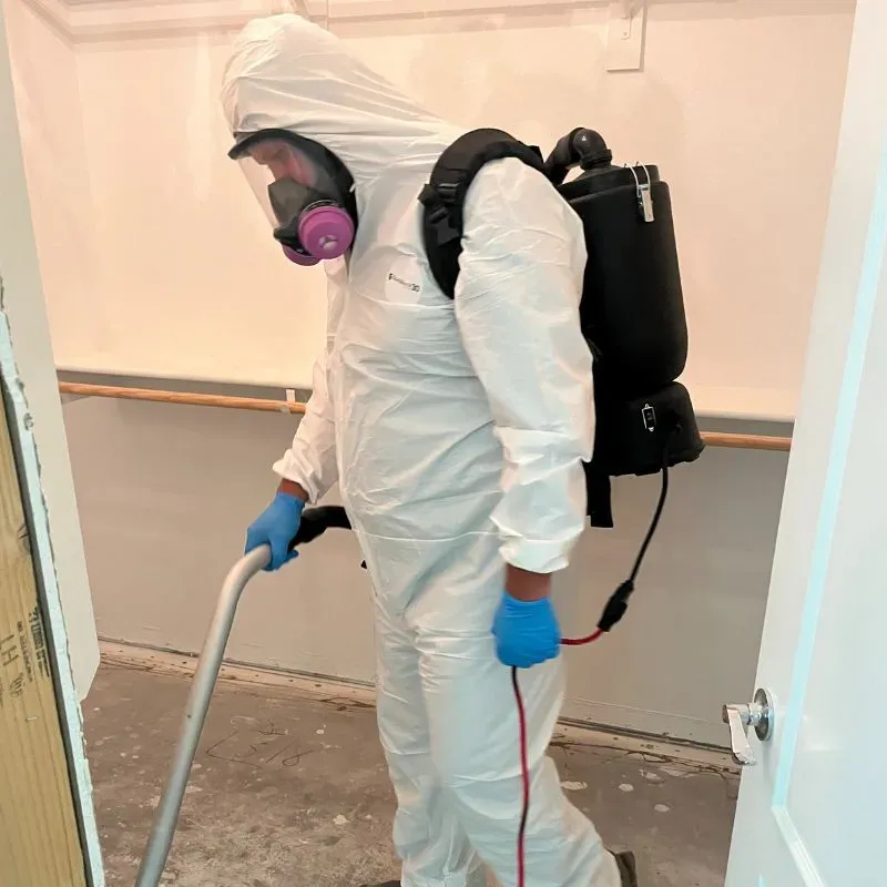 Mold Remediation Services Gallery 1