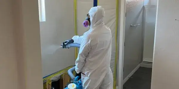 Voda Mold Remediation Services