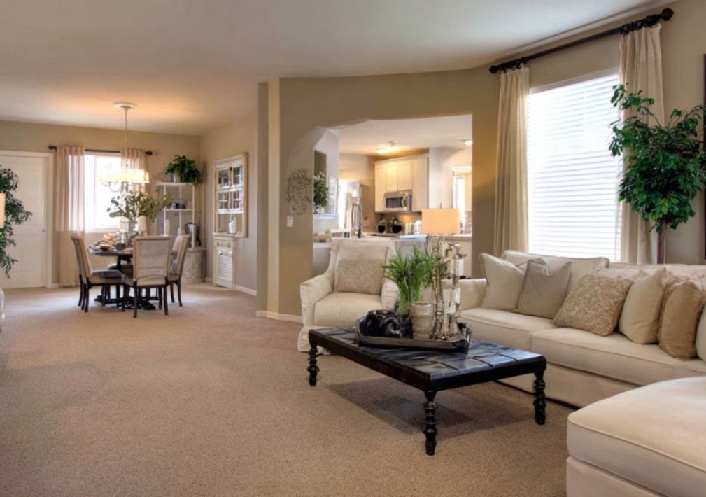 What Is The Average Cost Of Carpet Cleaning In Chandler Az