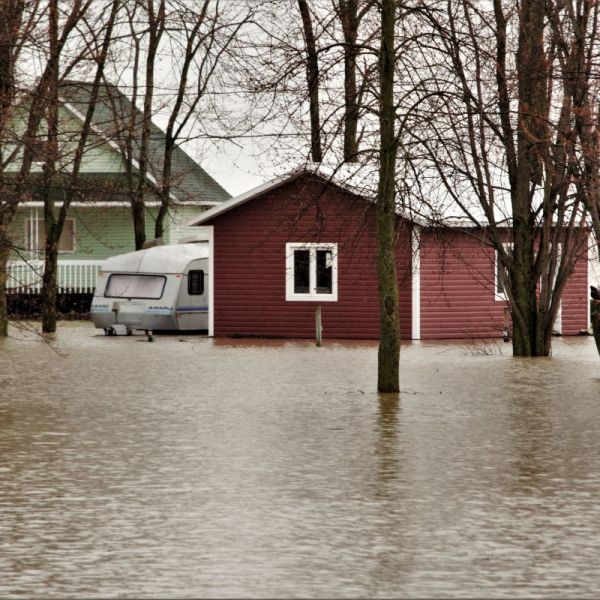 Why Sewage Backup Cleanup Is Not a DIY Job