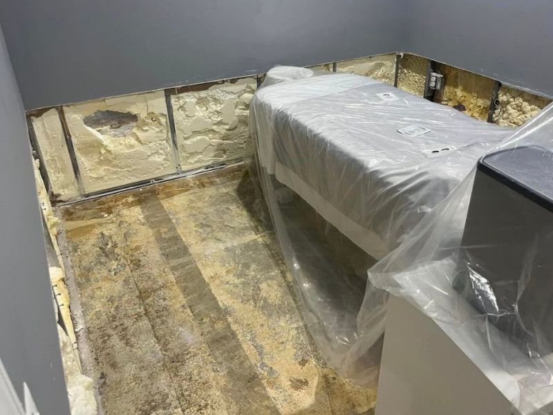 What Is The Average Cost Of Mold Remediation In Clairton Pa