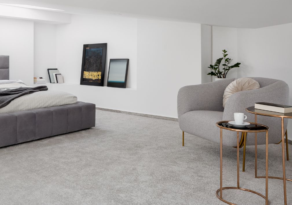 What Is The Average Cost Of Carpet Cleaning In Bethel Park Pa
