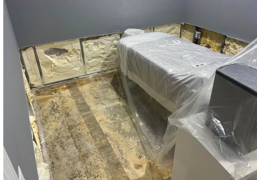 What Is The Average Cost Of Mold Remediation In Clairton Pa