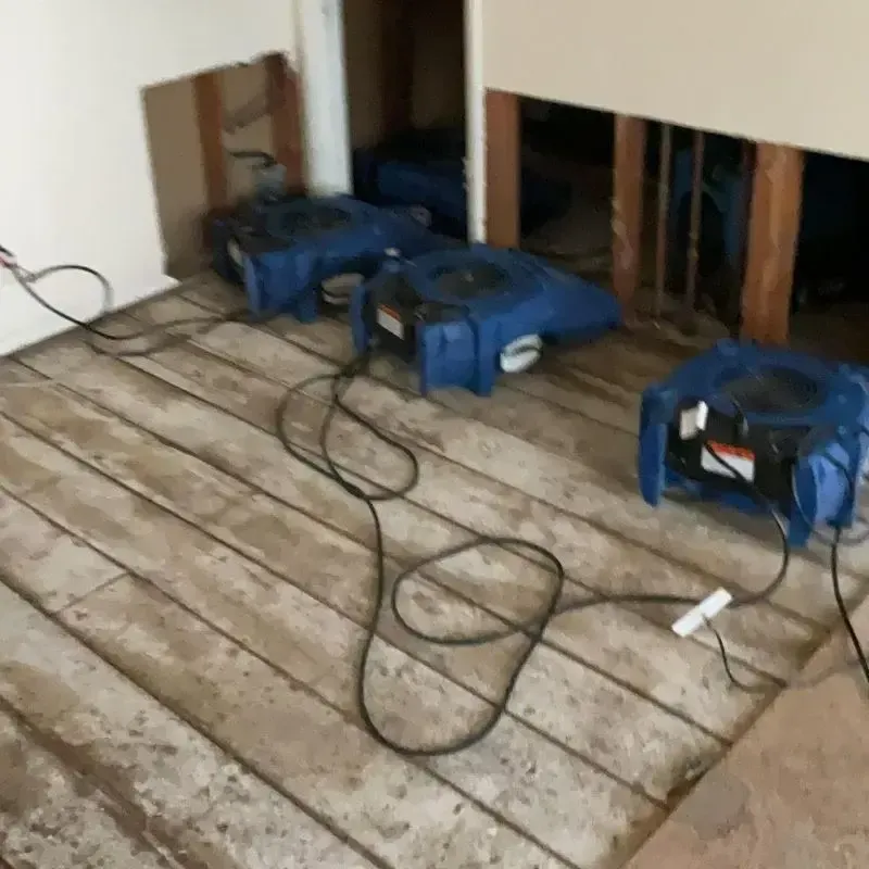Removed Flooring And Drywall Portland