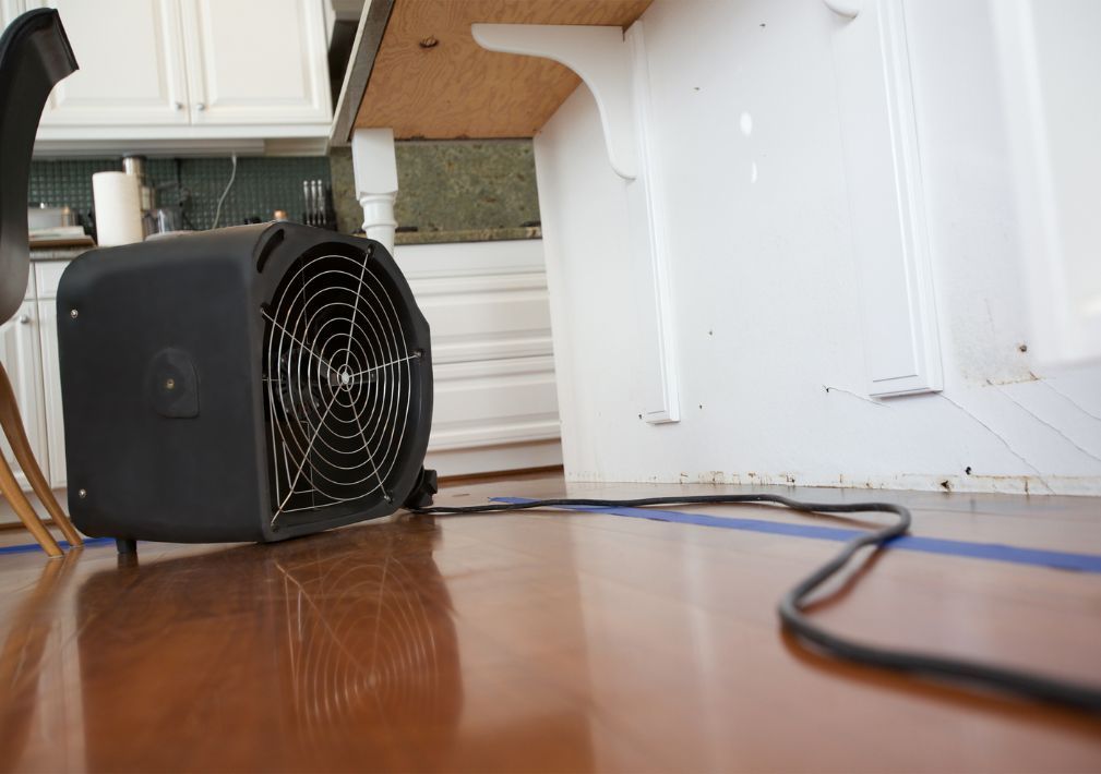 What Is The Average Cost Of Water Damage Restoration In Lake Oswego Or