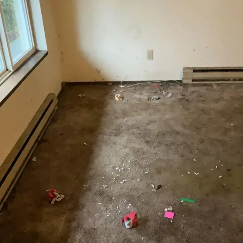 Initial Site Condition Emergency Water Damage Portland