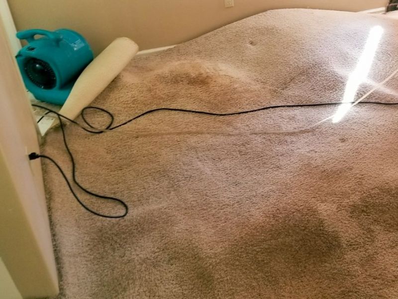 What Is The Average Cost Of Water Damage Remediation In Blawenburg