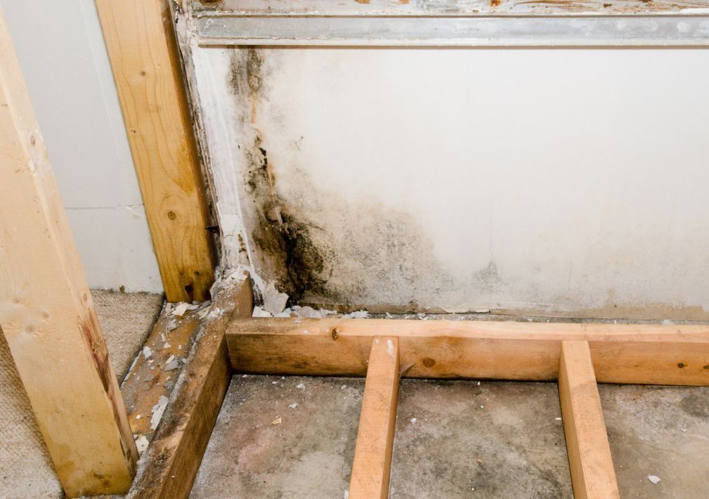 What Is The Average Cost Of Mold Remediation In Lambertville Nj
