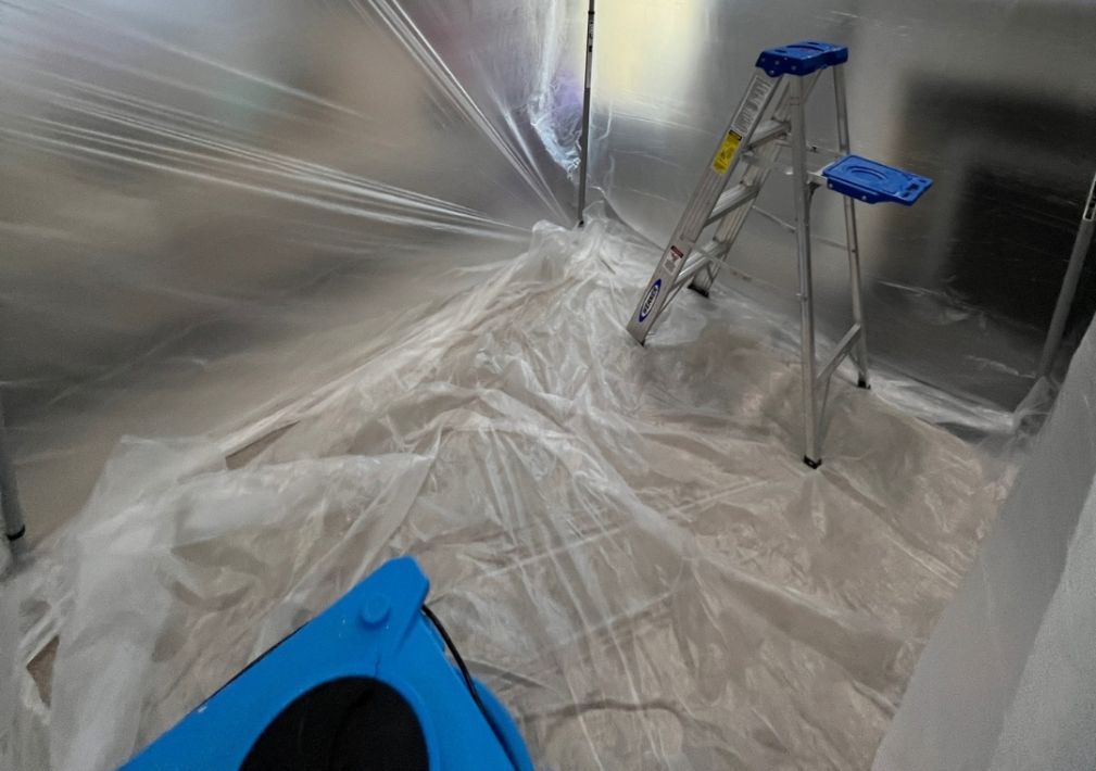 What Is The Average Cost Of Mold Remediation In Garner Nc