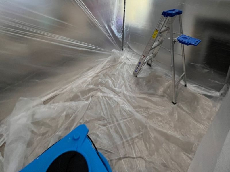 What Is The Average Cost Of Mold Remediation In Garner Nc