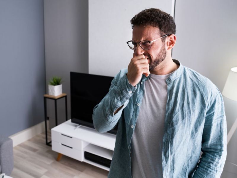 What Is The Average Cost Of Odor Removal In Shotwell Nc