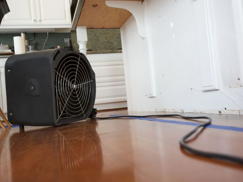 What Is The Average Cost Of Water Damage Restorationin Millbrook Nc