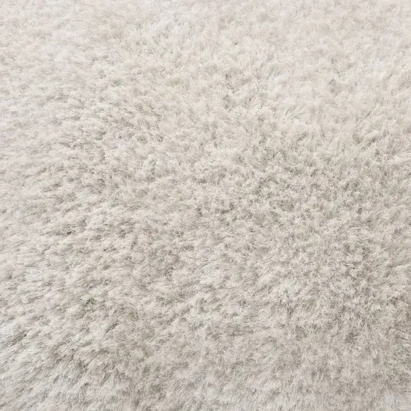 High Quality Carpet Color Repair Services