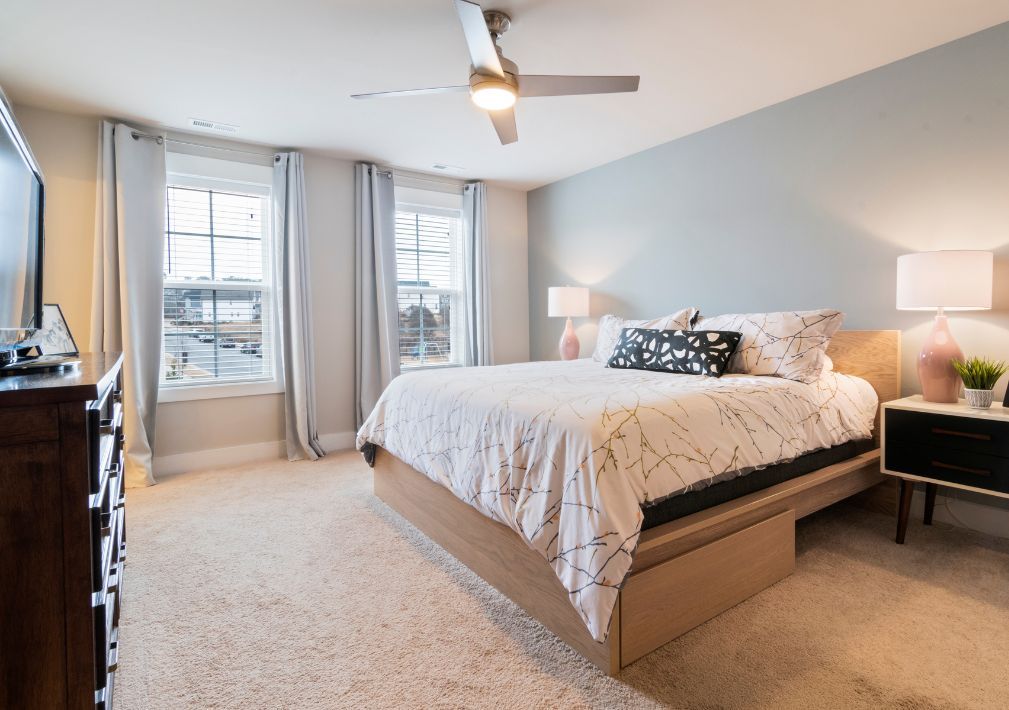 What Is The Average Cost Of Carpet Cleaning In Empire Nv