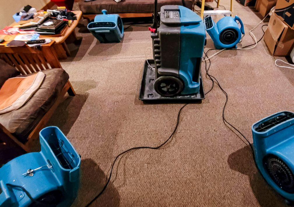 What Is The Average Cost Of Water Damage Restoration In Fallon