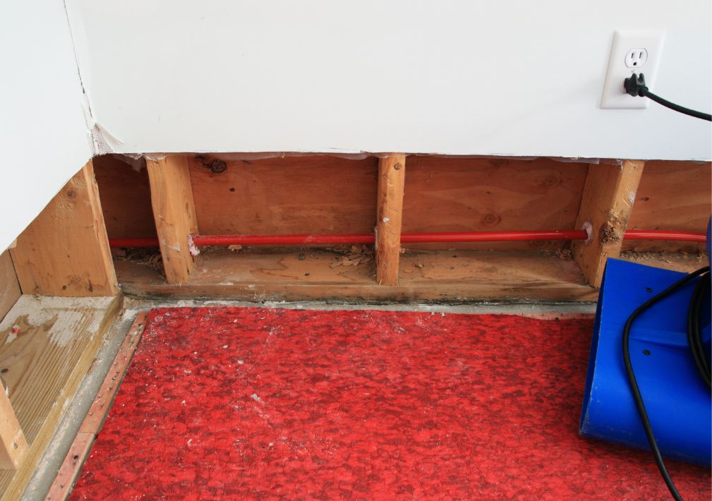 What Is The Average Cost Of Water Damage Restoration In Reno Nv