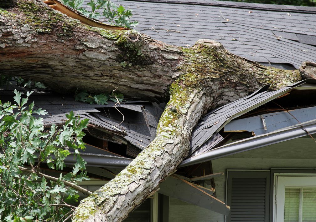 What Is The Average Cost Of Storm Damage Restoration In Henrico