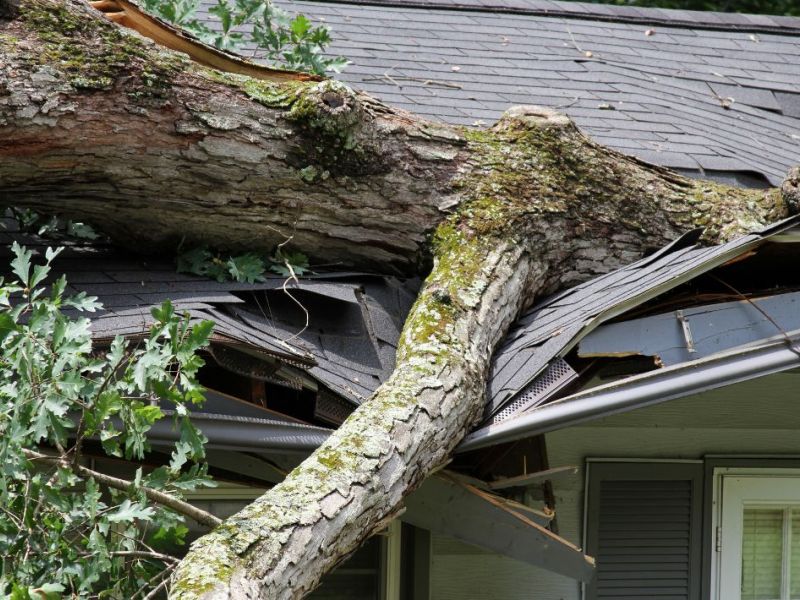 What Is The Average Cost Of Storm Damage Restoration In Henrico