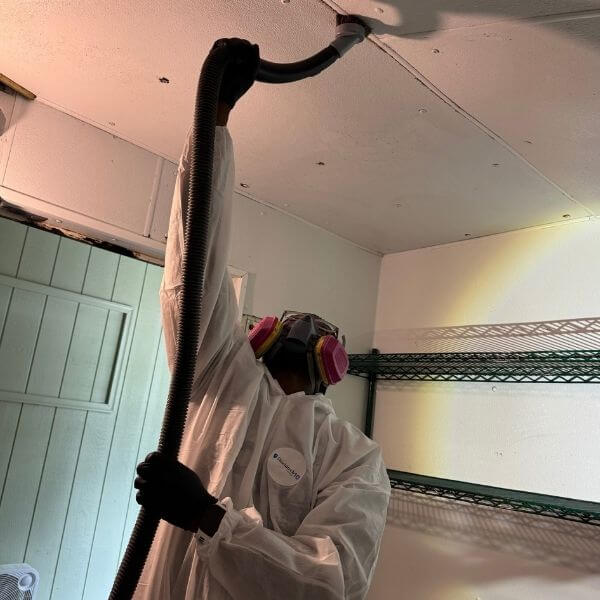Job Mold Remediation
