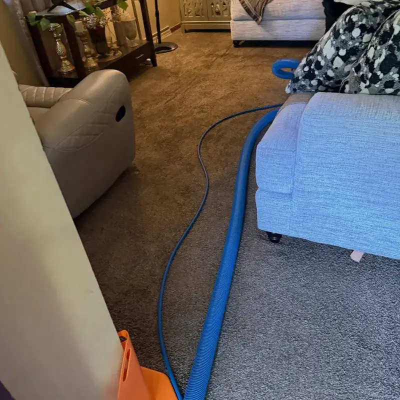 Job Carpet Clean