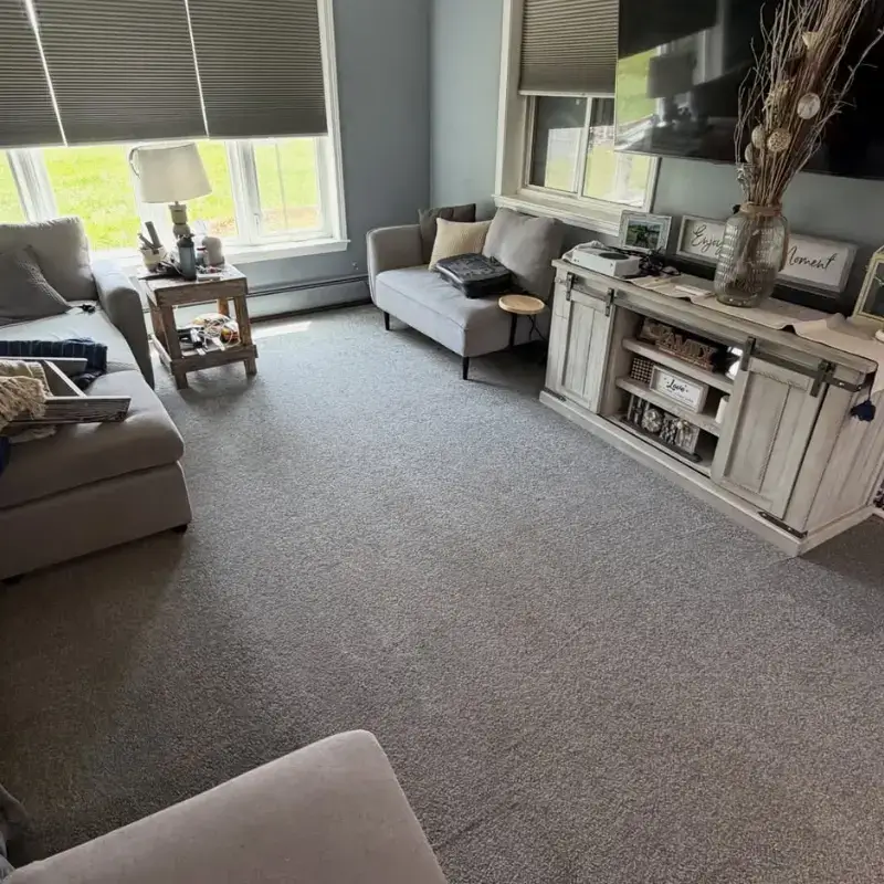Job Carpet Cleaning Hilton
