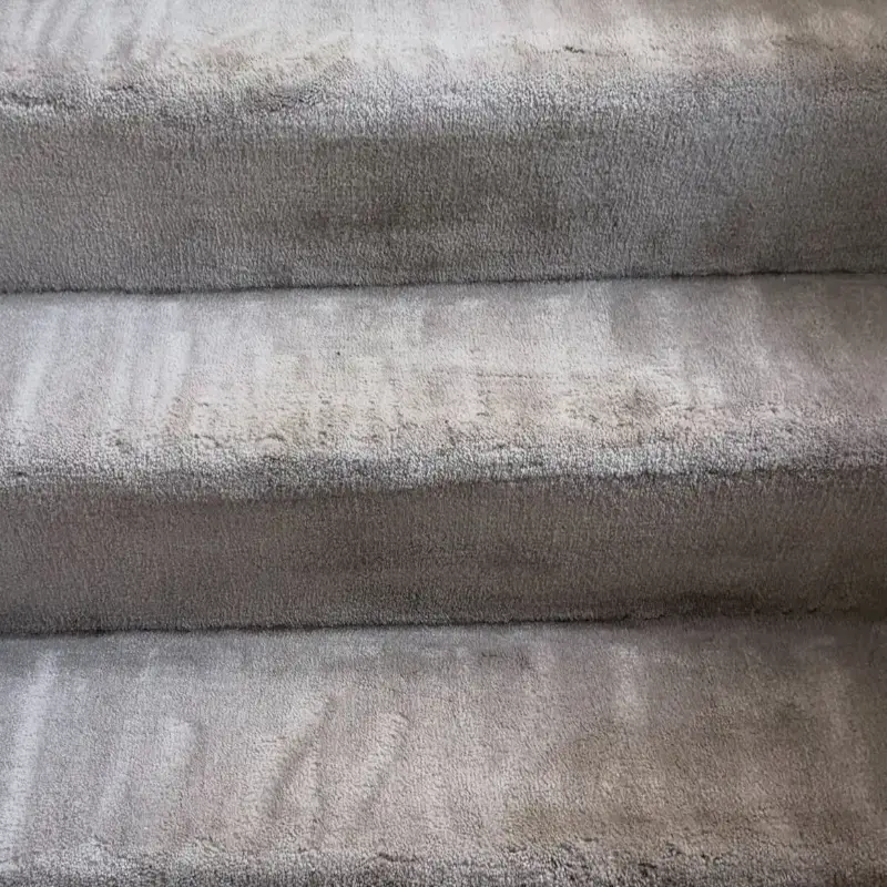 Job Stairs Carpet Cleaning