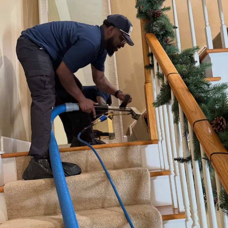 Job Carpet Cleaning Pittsford