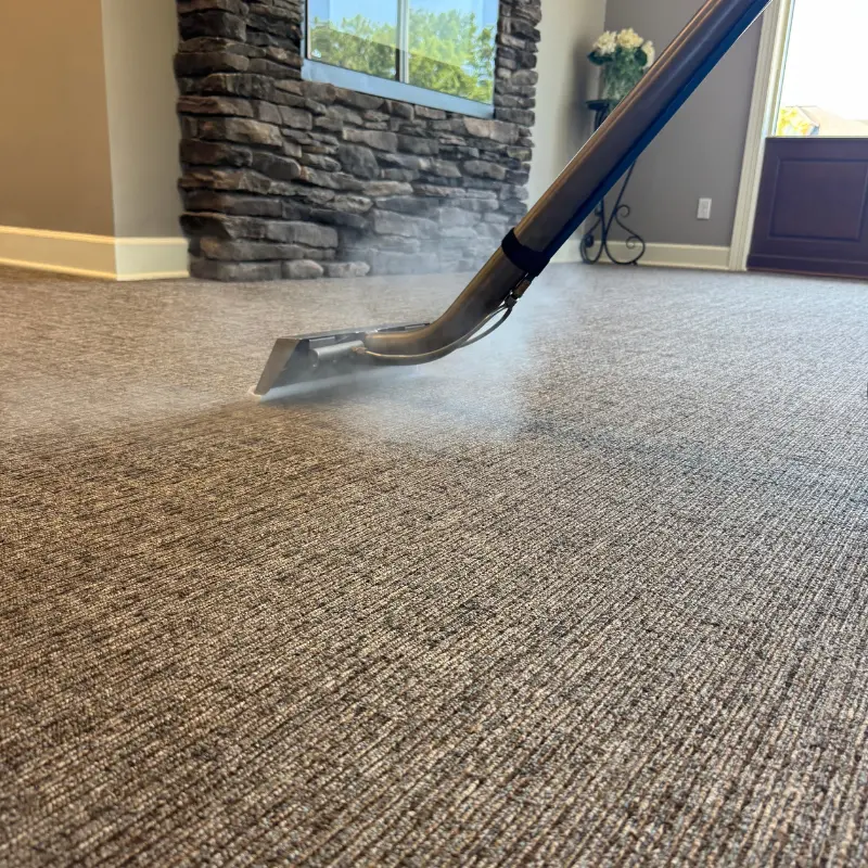 Job Doctors Office Carpet Cleaning