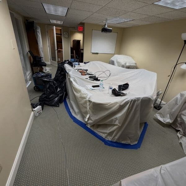 Job Mold Remediation
