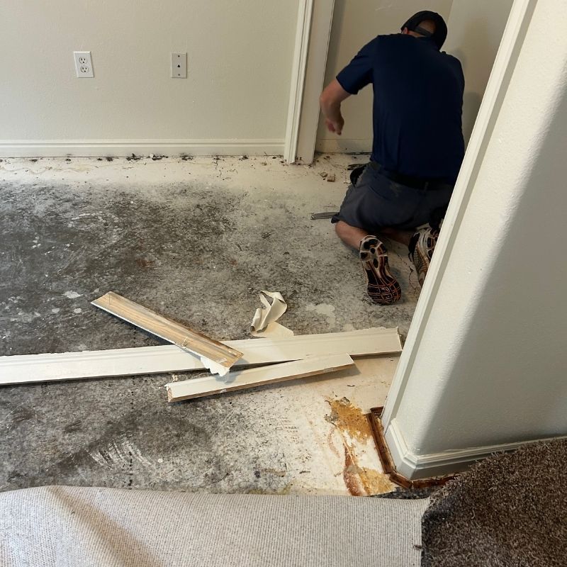 Salt Lake City Gallery