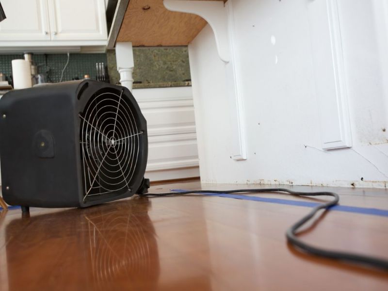 What Is The Average Cost Of Water Damage Restoration In Lehi