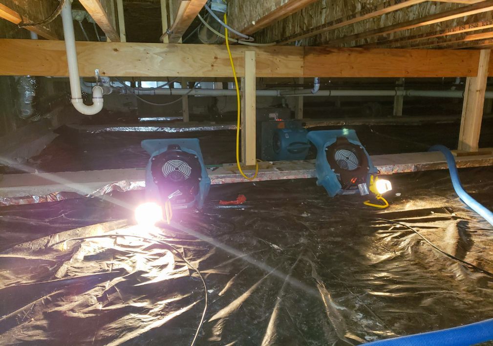 What Is The Average Cost Of Water Damage Restoration In Salt Lake City Ut