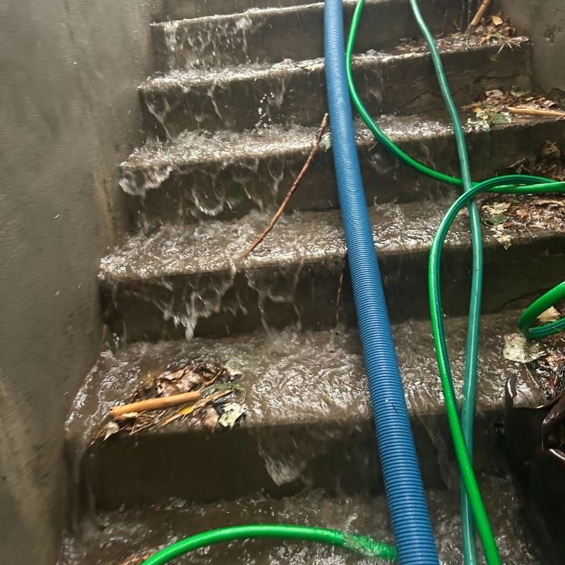 Salt Lake City Gallery