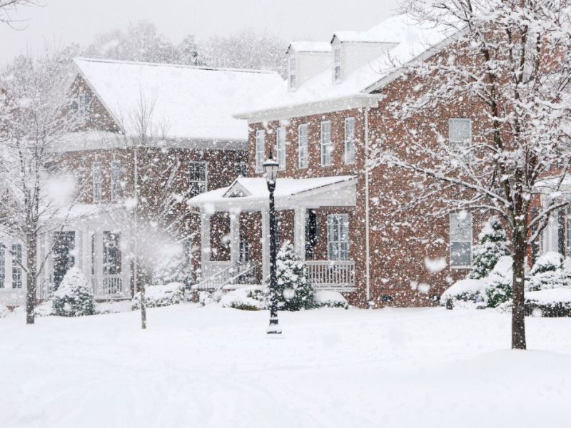 What Is The Average Cost Of Storm Damage Restoration In Alpine