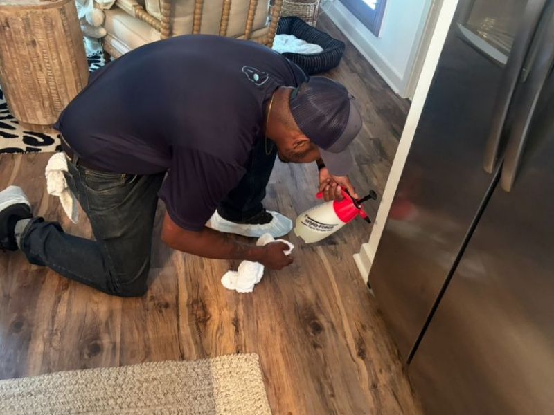 What Is The Average Cost Of Odor Removal In Sarasota Fl