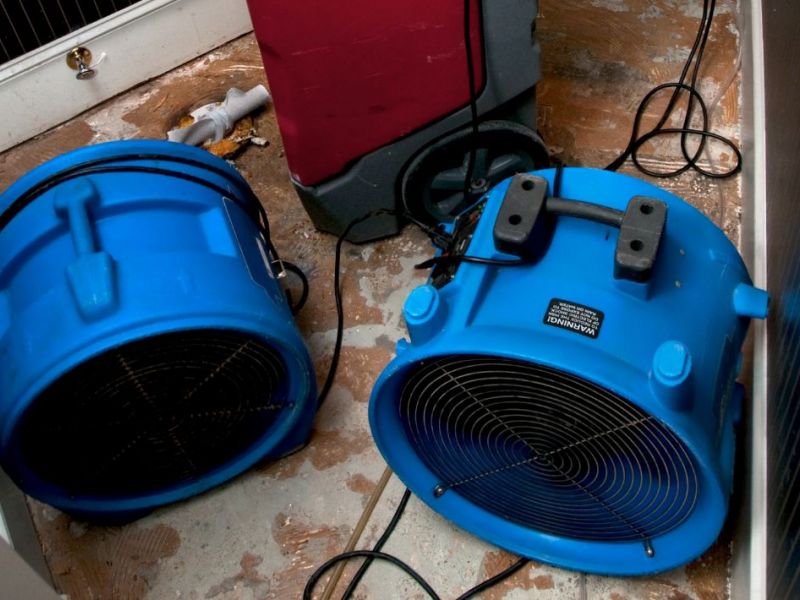 What Is The Average Cost Of Water Damage Restoration In Venice Fl