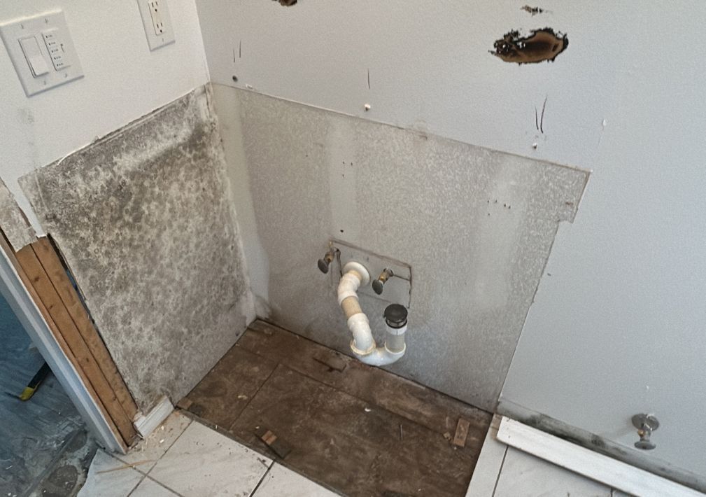 What Is The Average Cost Of Mold Remediation In Bradenton