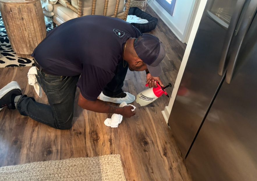 What Is The Average Cost Of Odor Removal In Sarasota Fl