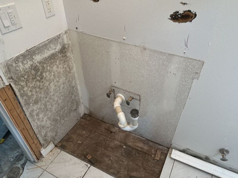 What Is The Average Cost Of Mold Remediation In Bradenton