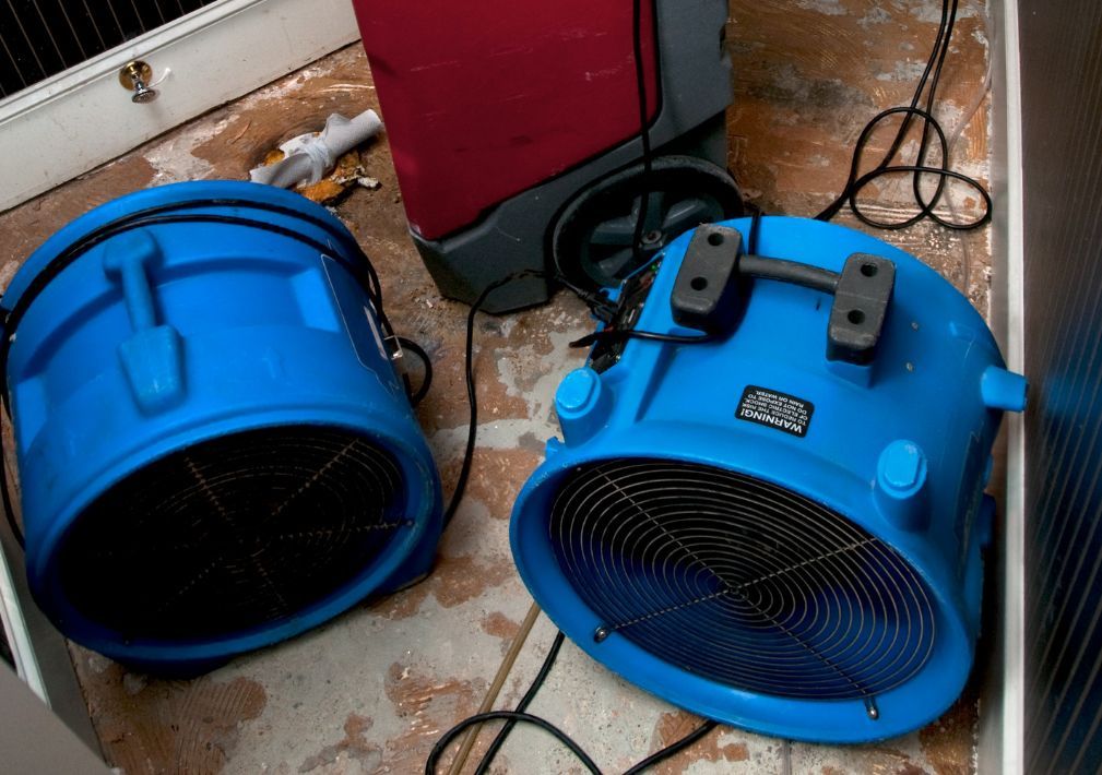 What Is The Average Cost Of Water Damage Restoration In Venice Fl