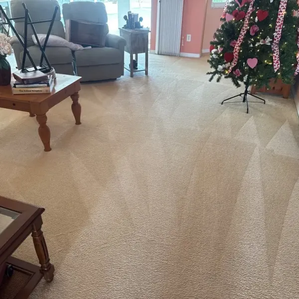 Living Roof Carpet After Cleaning Results