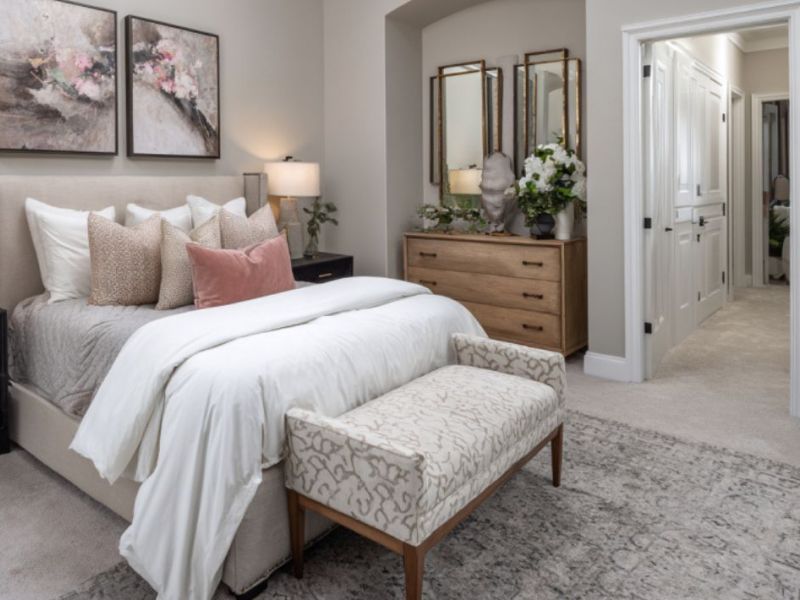 What Is The Average Cost Of Carpet Cleaning In Jacksonboro Sc