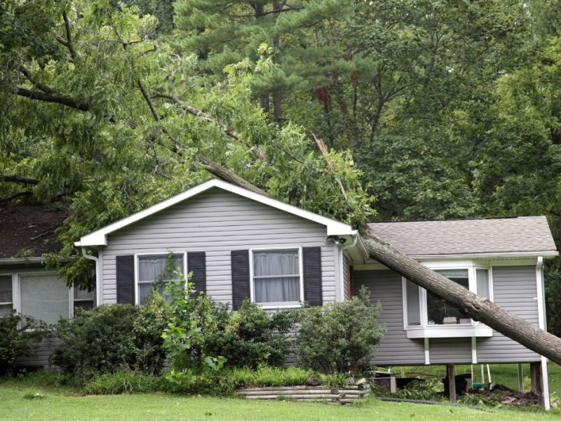 What Is The Average Cost Of Storm Damage Restoration In Port Royal