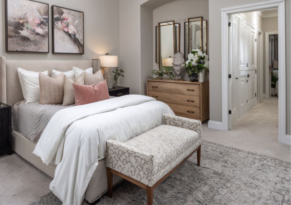 What Is The Average Cost Of Carpet Cleaning In Jacksonboro Sc
