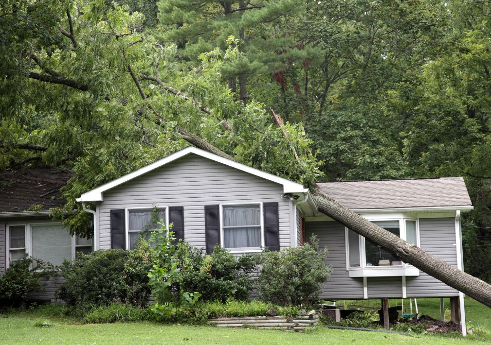 What Is The Average Cost Of Storm Damage Restoration In Port Royal