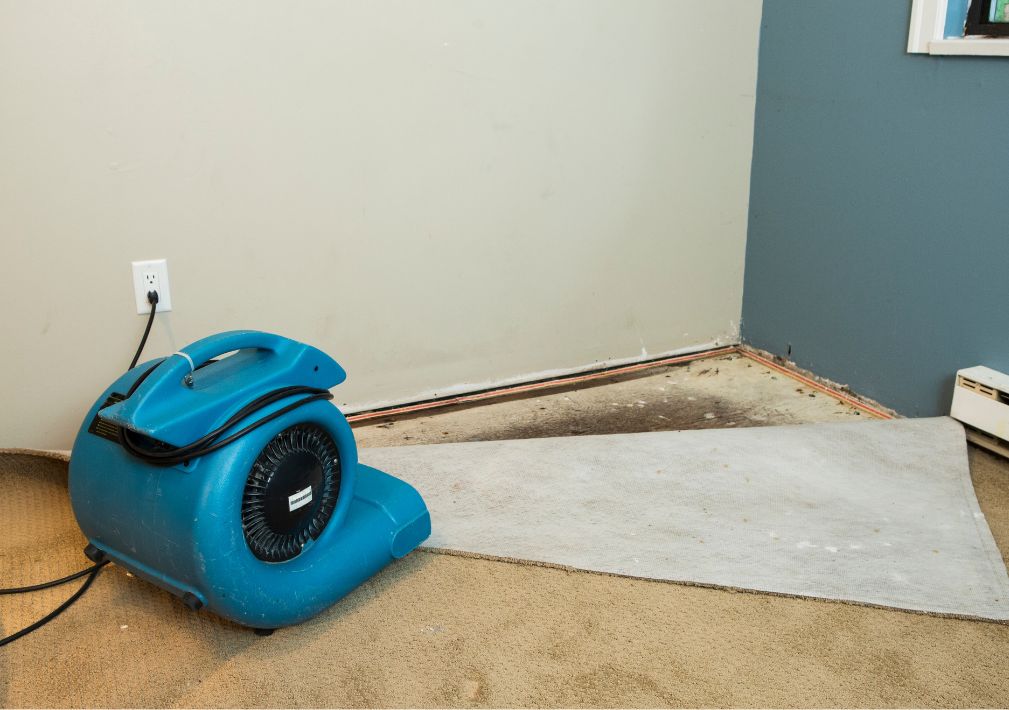 What Is The Average Cost Of Water Damage Restoration In Hilton Head Island