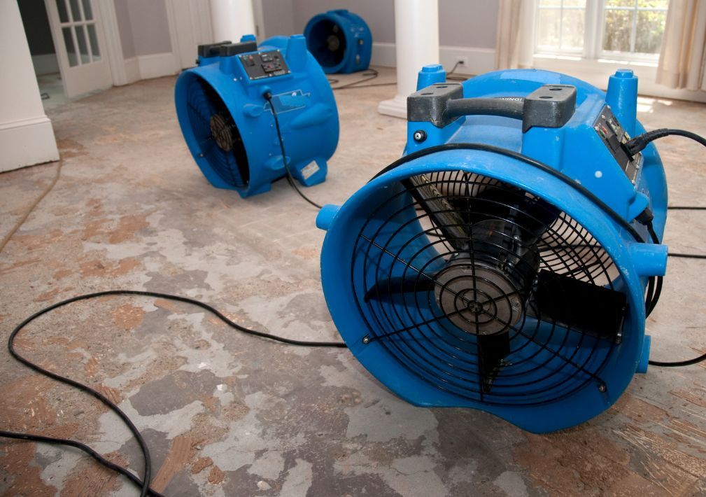 What Is The Average Cost Of Water Damage Restoration In Dryden