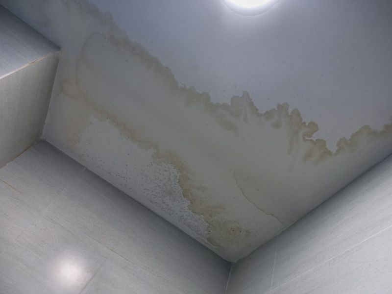 What Is The Average Cost Of Water Damage Restoration In Bluff Springs Tx