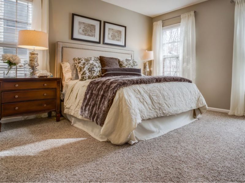 What Is The Average Cost Of Carpet Cleaning In Creedmoor Tx