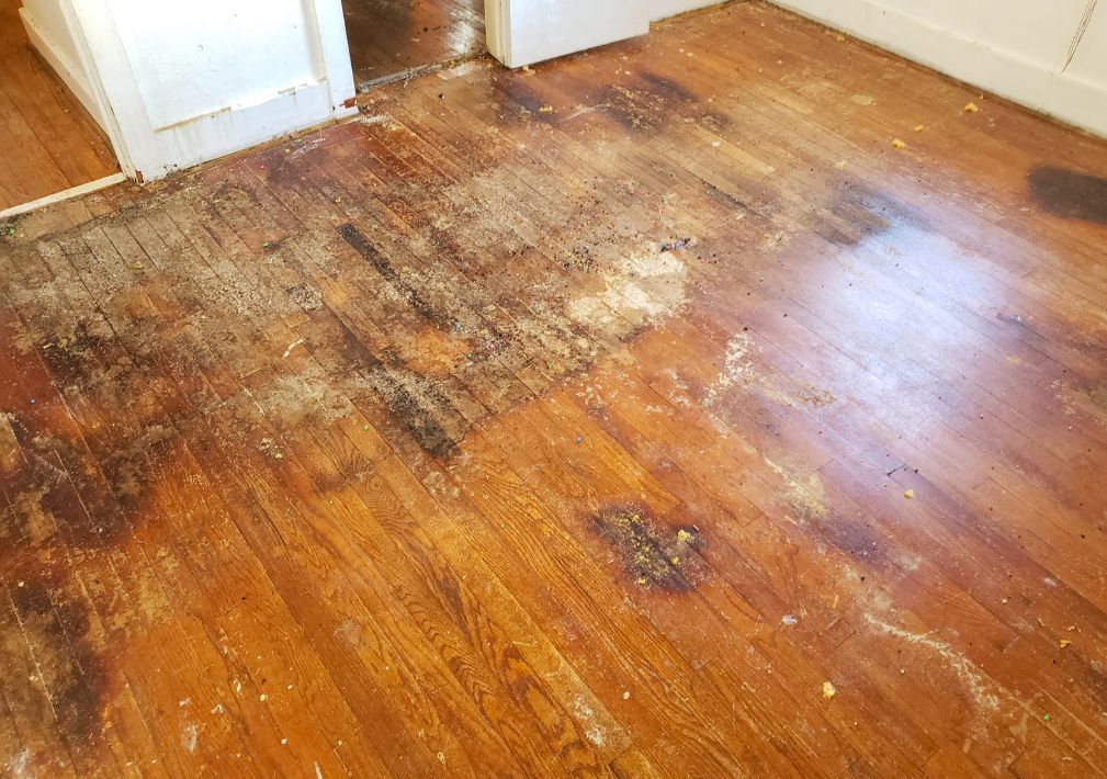 What Is The Average Cost Of Water Damage Restoration In Lawrence Ks